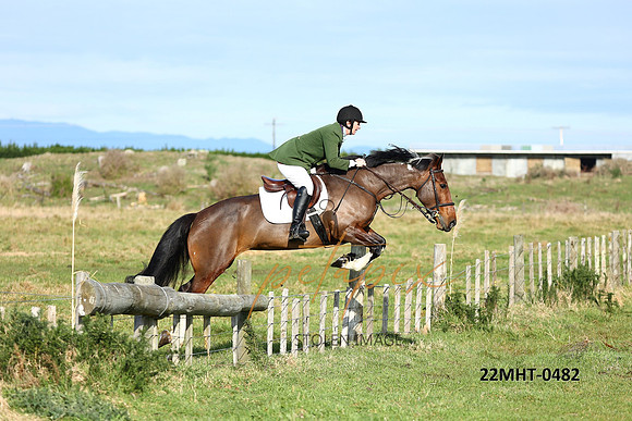 22MHT-0482