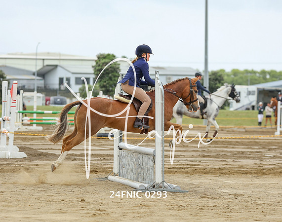 24FNIC-0293