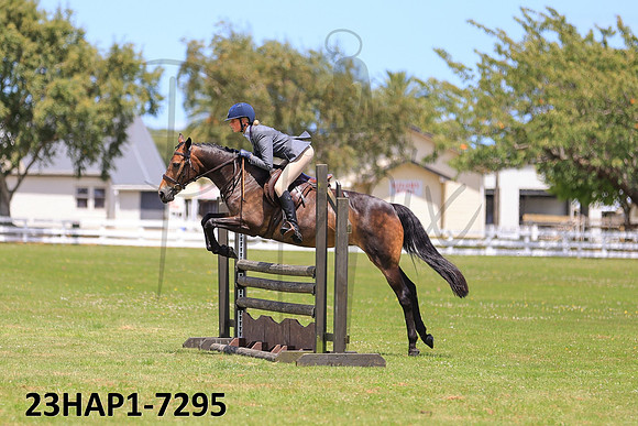 23HAP1-7295