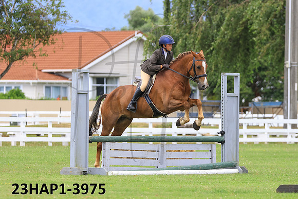 23HAP1-3975
