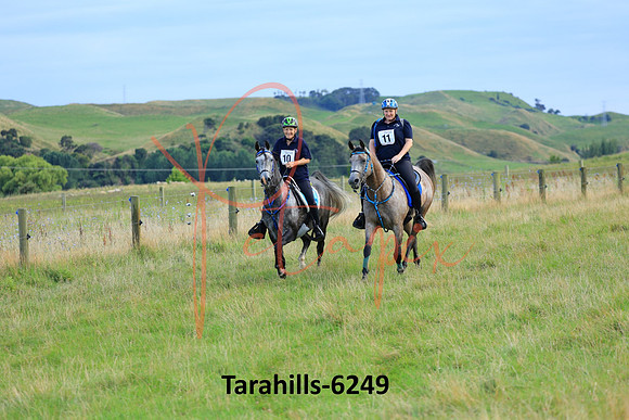 Tarahills-6249