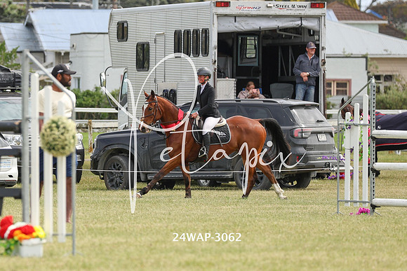 24WAP-3062