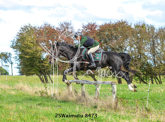 25Waimutu-8473
