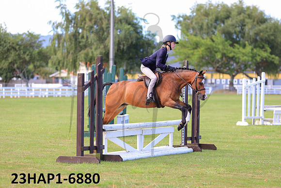 23HAP1-6880