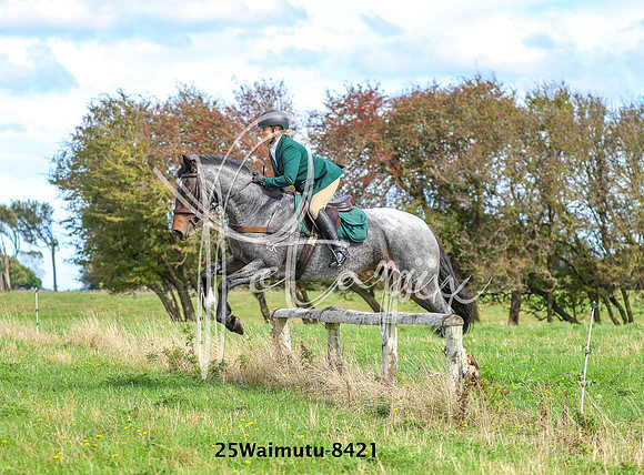 25Waimutu-8421