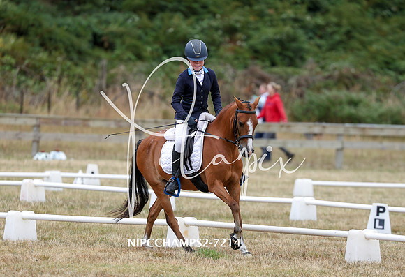 NIPCCHAMPS2-7214
