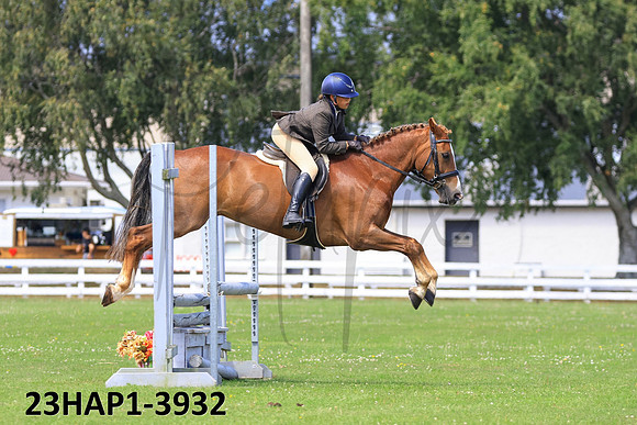 23HAP1-3932