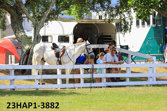 23HAP1-3882