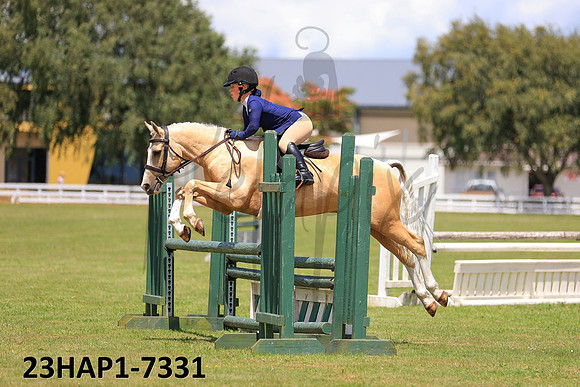 23HAP1-7331