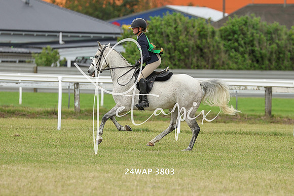 24WAP-3803