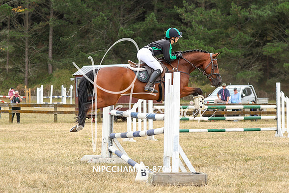 NIPCCHAMPS2-8704