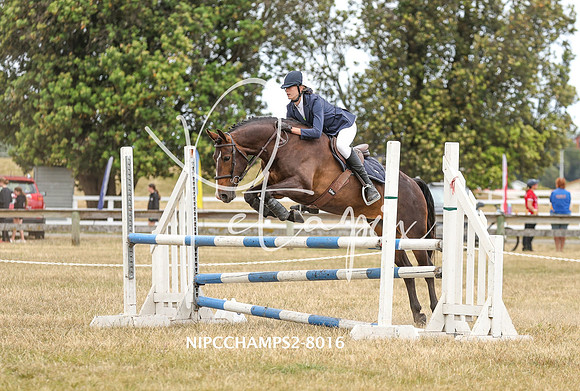 NIPCCHAMPS2-8016