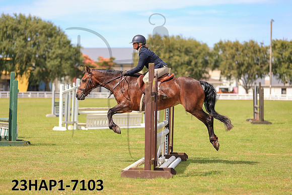 23HAP1-7103