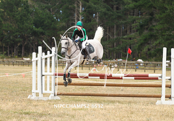 NIPCCHAMPS2-8632