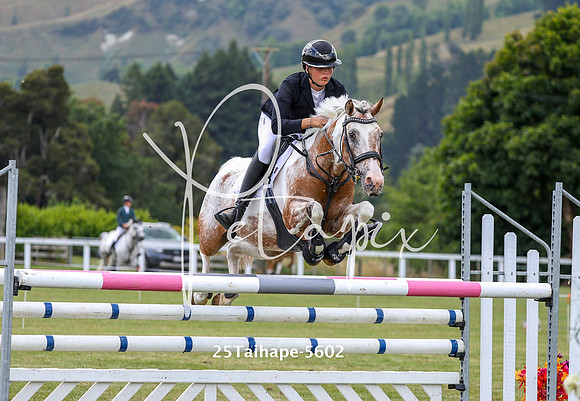 25Taihape-5602