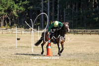 25NIPCHAMPS3-0034