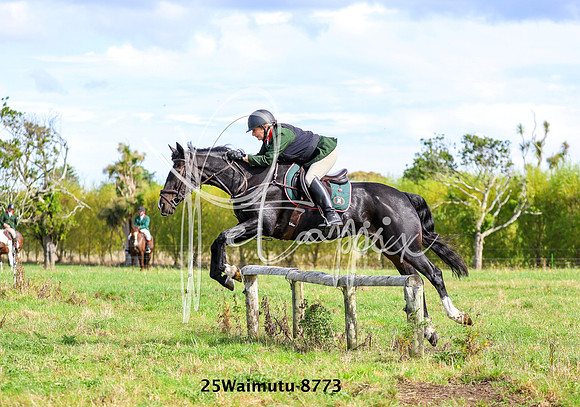 25Waimutu-8773