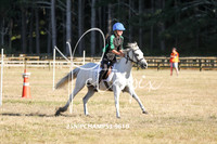25NIPCHAMPS3-9610