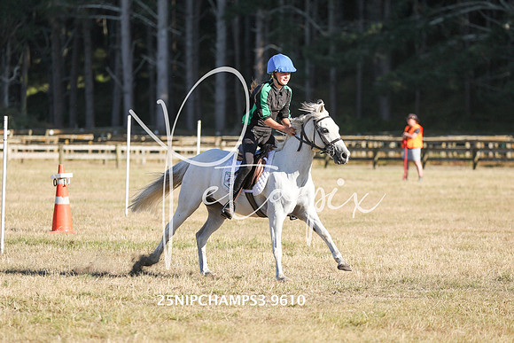 25NIPCHAMPS3-9610