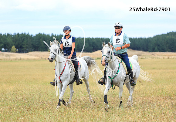 25WhaleRd-7901