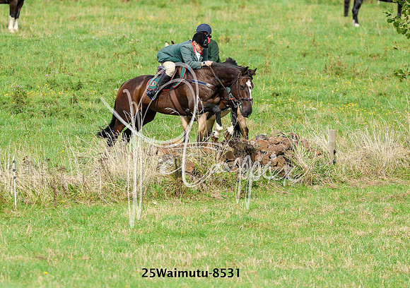25Waimutu-8531