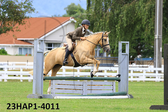 23HAP1-4011