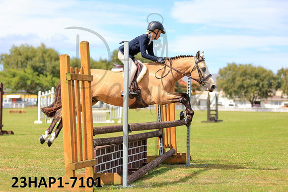 23HAP1-7101