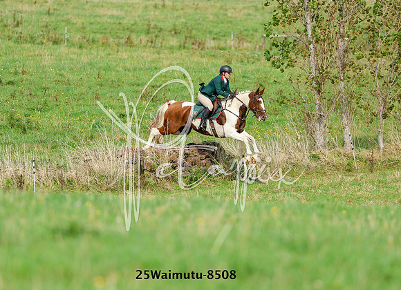 25Waimutu-8508