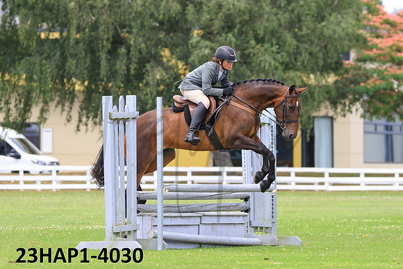 23HAP1-4030
