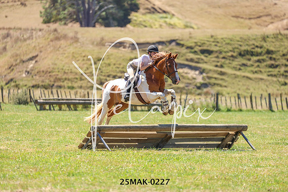 25MAK-0227