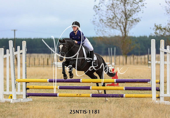 25NTIS-1181