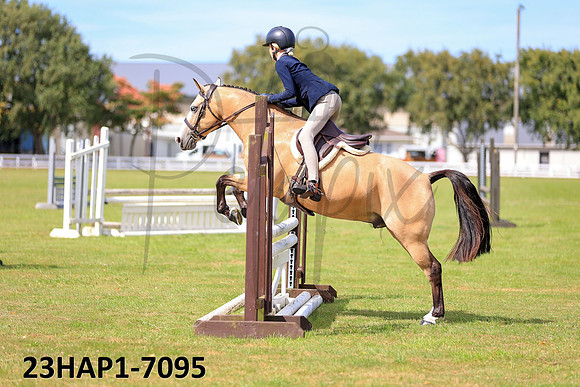 23HAP1-7095
