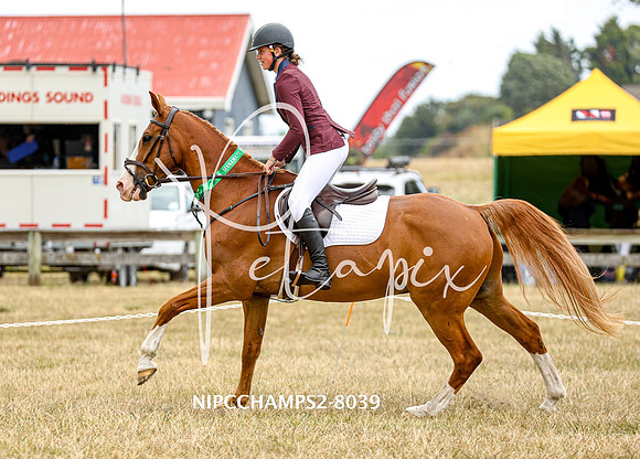 NIPCCHAMPS2-8039