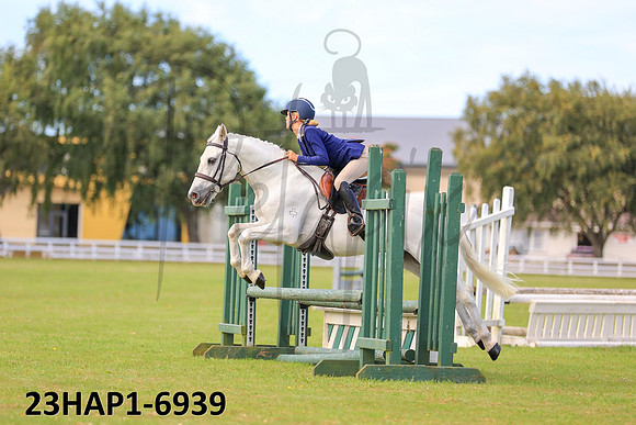 23HAP1-6939