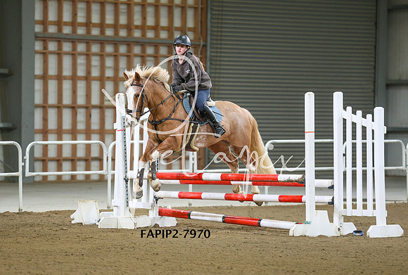 FAPIP2-7970