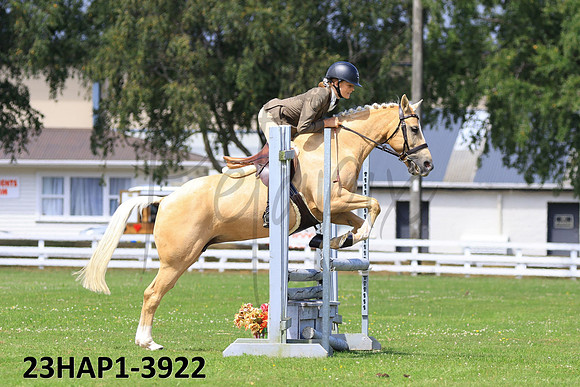 23HAP1-3922
