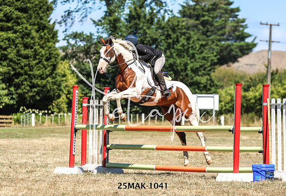 25MAK-1041