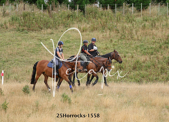 25Horrocks-1558