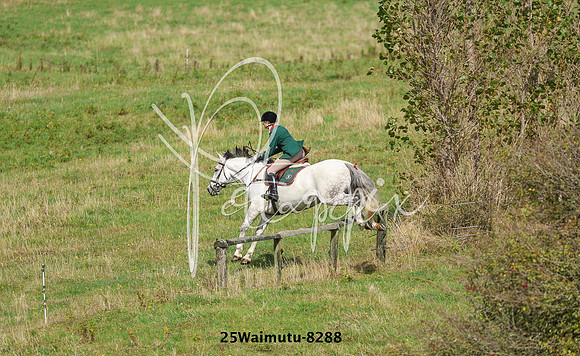 25Waimutu-8288
