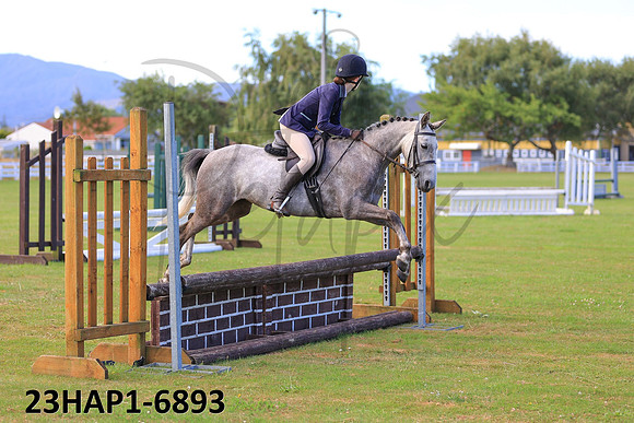 23HAP1-6893