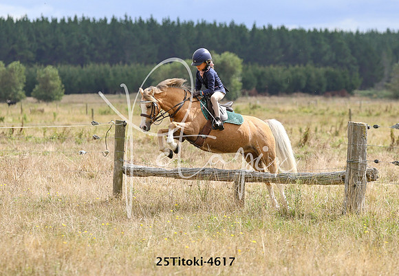 25Titoki-4617