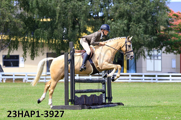 23HAP1-3927