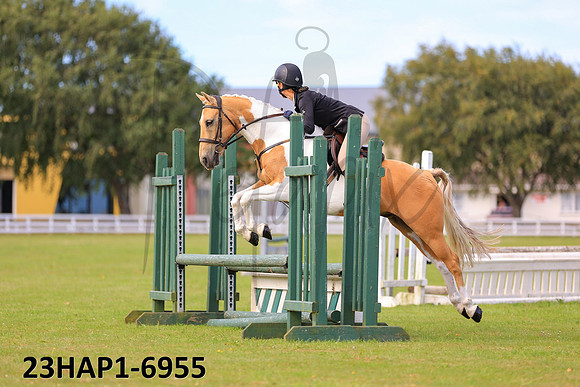 23HAP1-6955