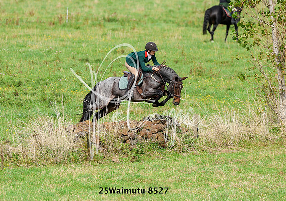 25Waimutu-8527