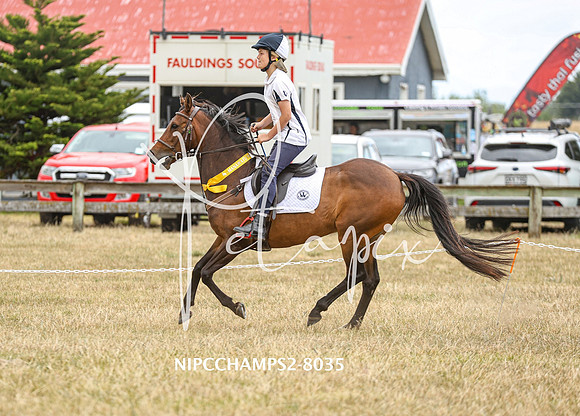 NIPCCHAMPS2-8035