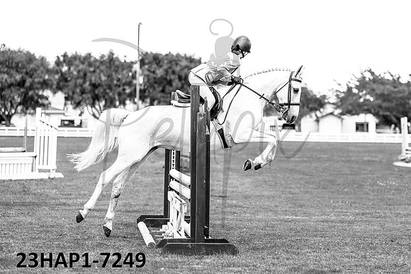 23HAP1-7249