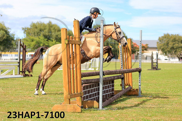23HAP1-7100