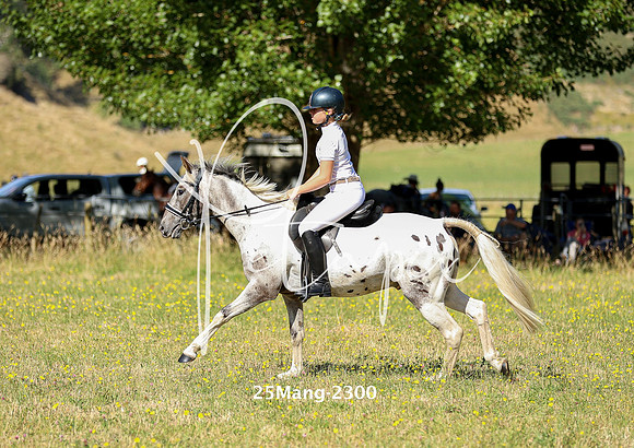 25Mang-2300
