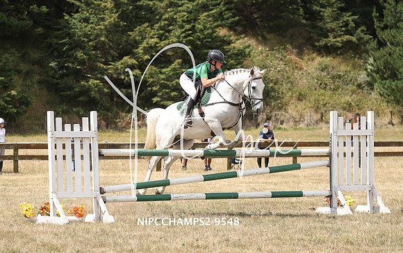 NIPCCHAMPS2-9548