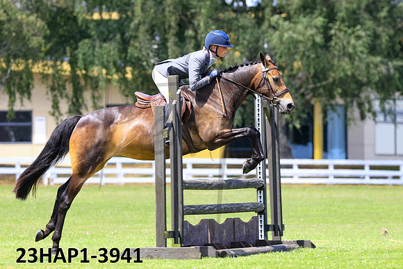 23HAP1-3941